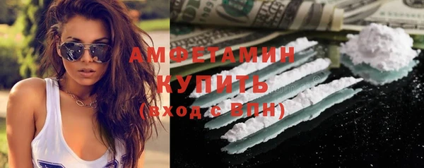 крисы Новокубанск