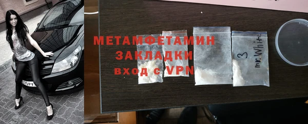 прущие грибы Новодвинск