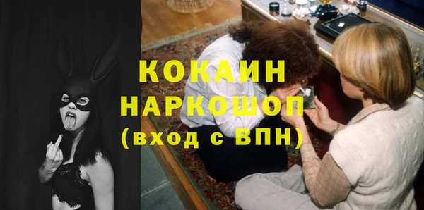 тгк Няндома