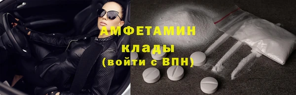 прущие грибы Новодвинск