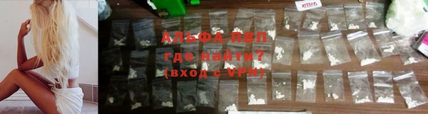 крисы Новокубанск