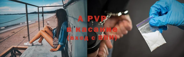 крисы Новокубанск