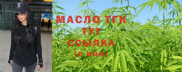 прущие грибы Новодвинск