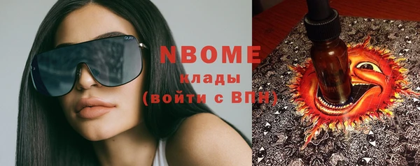 прущие грибы Новодвинск