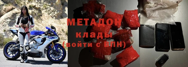 прущие грибы Новодвинск