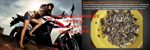 тгк Няндома